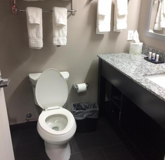 带大床的套房, Best Western Plus Dilley Inn & Suites