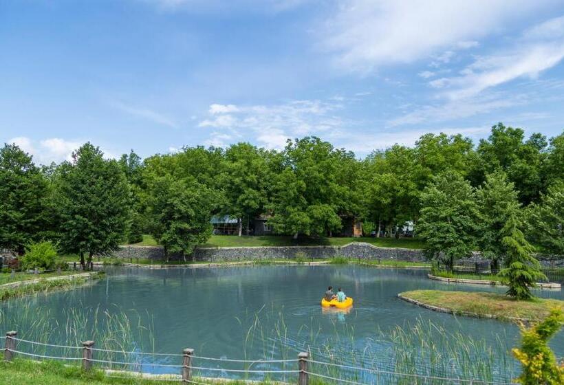 سوئیت پرزیدنت, Gabala Yengice Thermal Resort