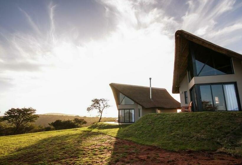 Люкс, Jbay Zebra Lodge