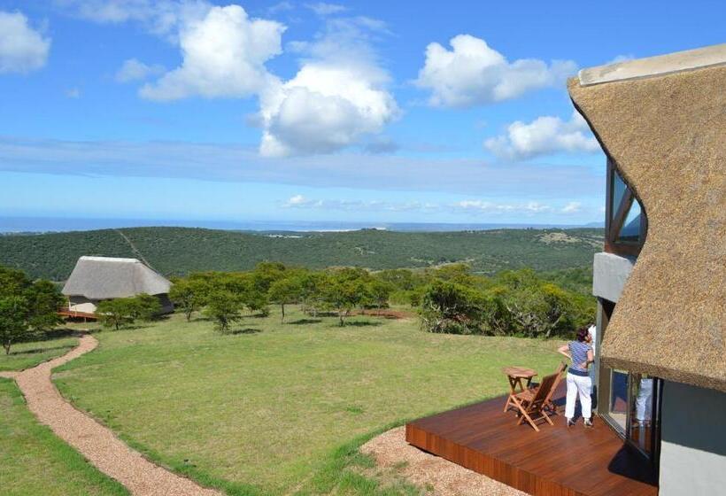 Люкс, Jbay Zebra Lodge
