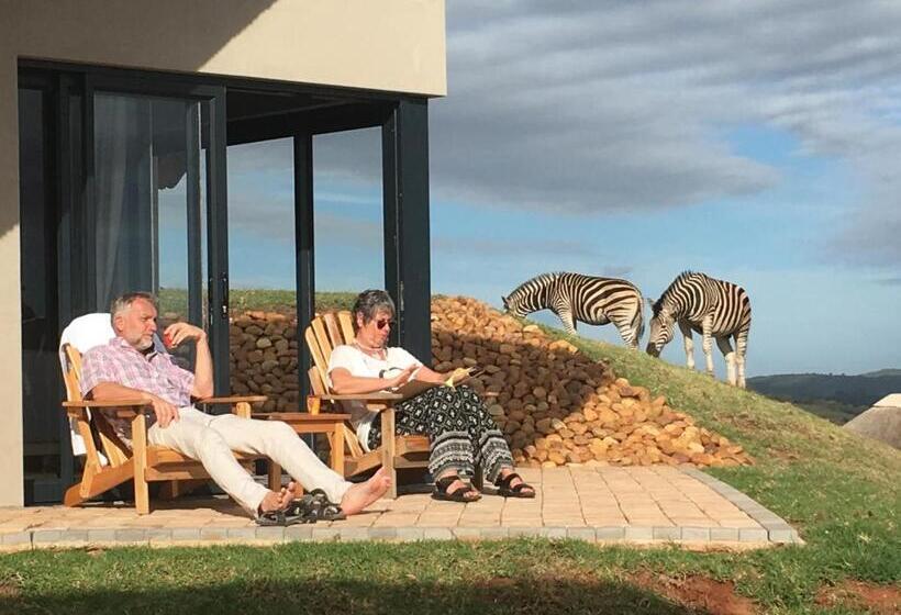 Люкс, Jbay Zebra Lodge
