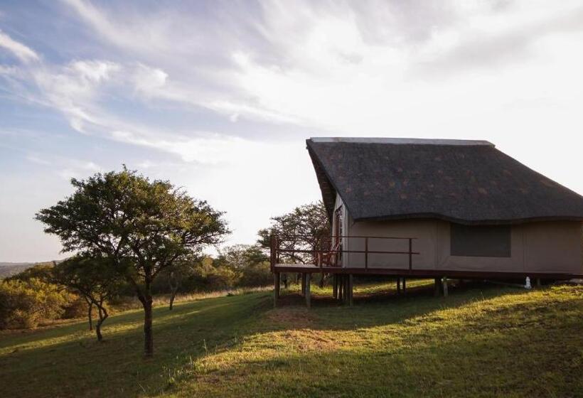 Standard Tent, Jbay Zebra Lodge