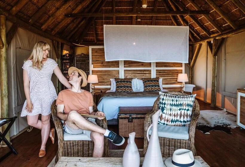 Standard Tent, Jbay Zebra Lodge