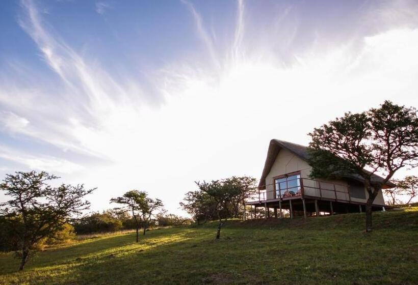 Standard Tent, Jbay Zebra Lodge