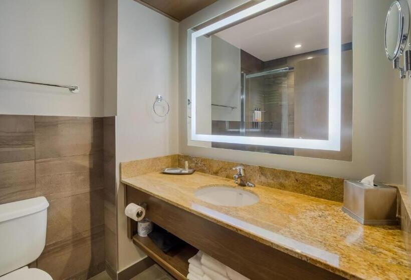 اتاق استاندارد, 11, Mod A Sonesta Collection