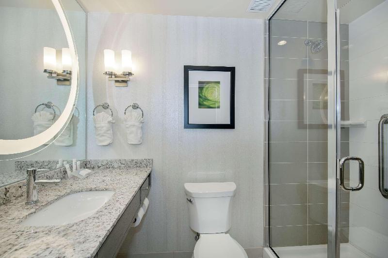 Стандартный Номер Кровать Кинг, Hilton Garden Inn Raleigh /crabtree Valley
