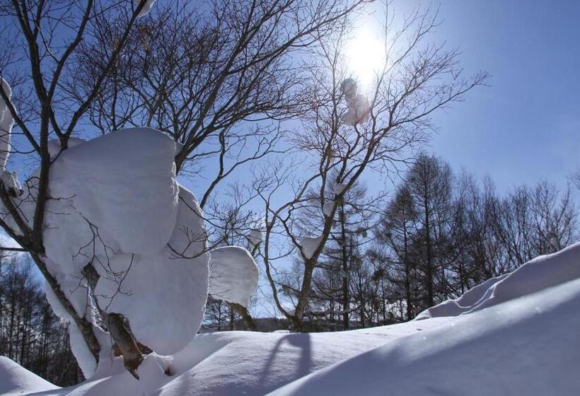 高级单人间, Niseko Freedom Inn