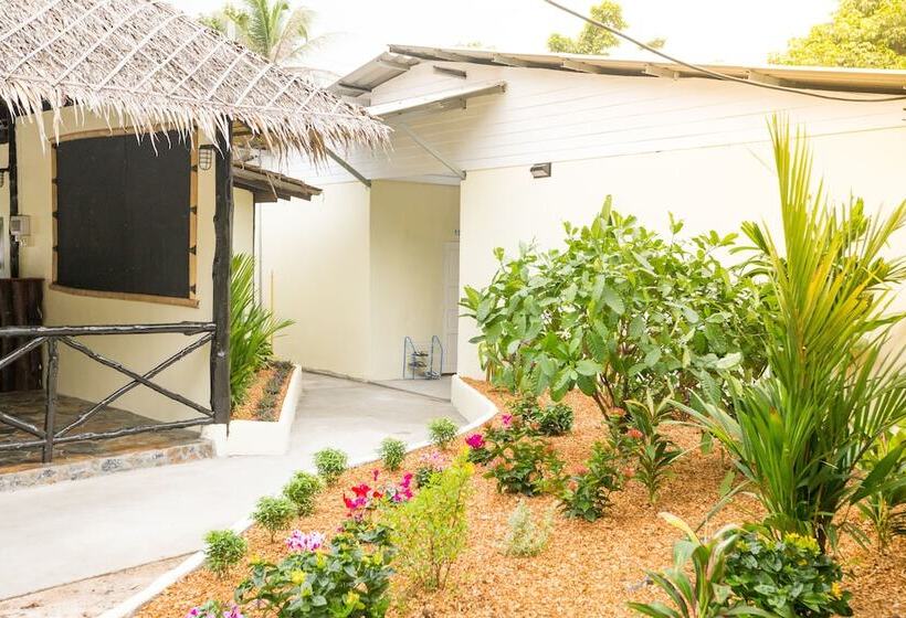 تختخواب در اتاق مشترک, Shiralea Backpackers Resort