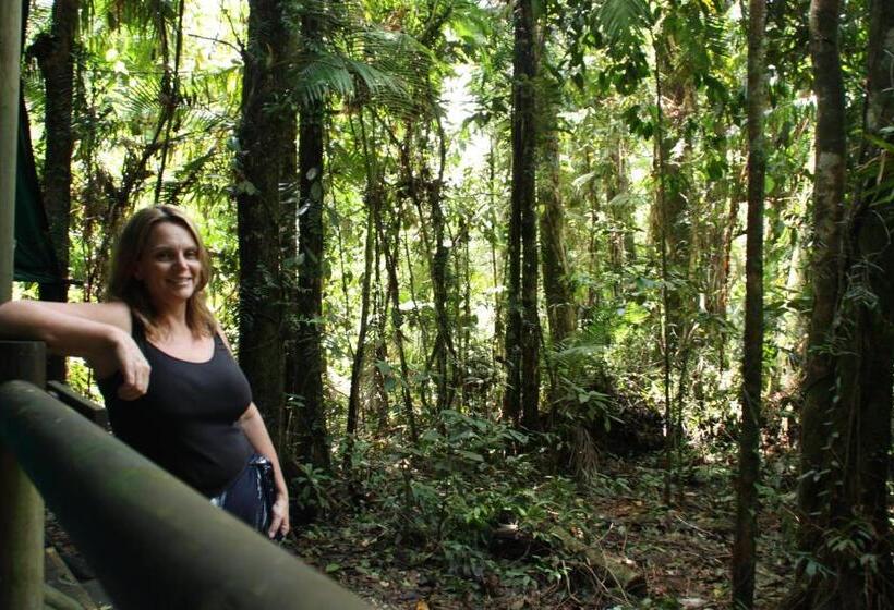 Хижина, Daintree Crocodylus