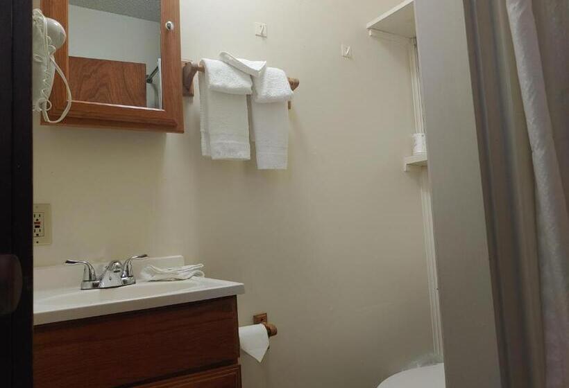 스탠다드 룸 산 전망, The Dublin House Motel