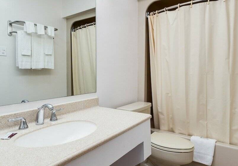Superior Room, Contempra Inn