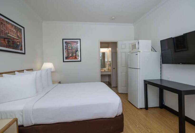 Superior Room, Contempra Inn