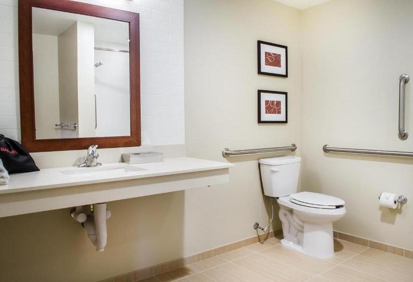 适合残疾人士使用的套间, Comfort Suites Manheim   Lancaster
