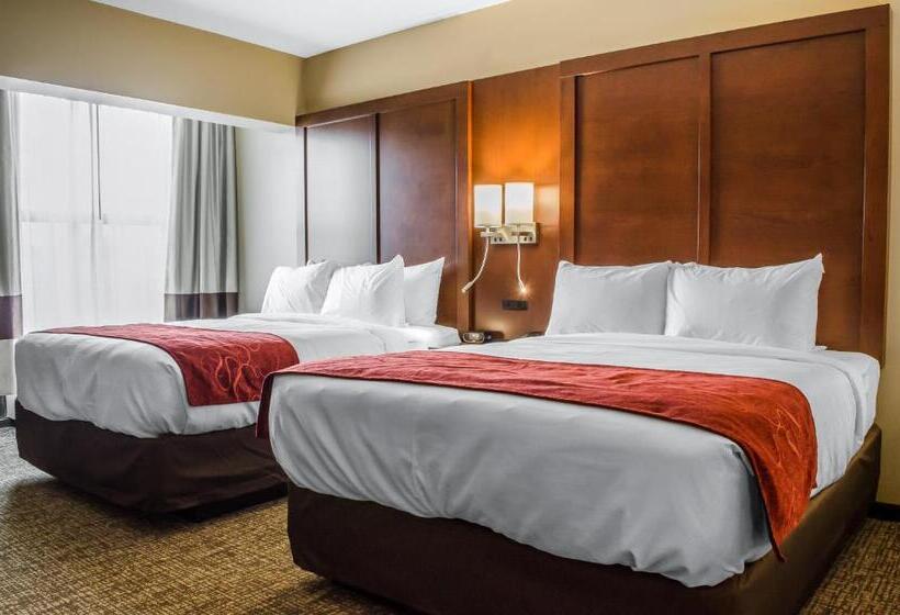 适合残疾人士使用的套间, Comfort Suites Manheim   Lancaster
