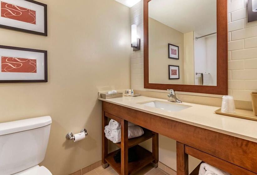 适合残疾人士使用的套间, Comfort Suites Manheim   Lancaster
