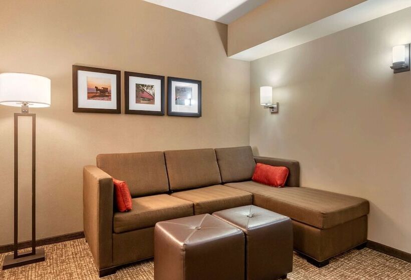 适合残疾人士使用的套间, Comfort Suites Manheim   Lancaster
