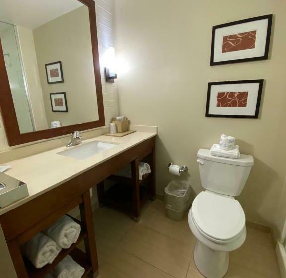 带大床的套房, Comfort Suites Manheim   Lancaster