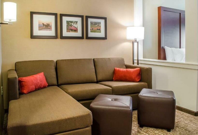 带大床的套房, Comfort Suites Manheim   Lancaster