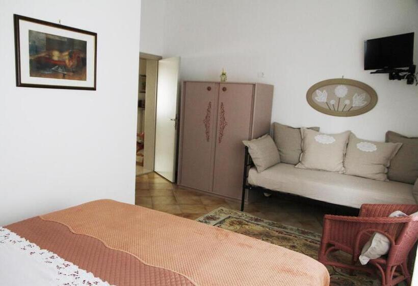Номер Стандарт, La Mimosa