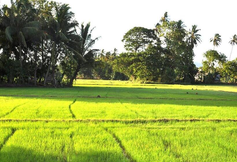 Четырехместный Номер Deluxe, Nature Resort   Yala Safari Village