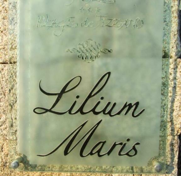 اتاق اکونومی, Lilium Maris