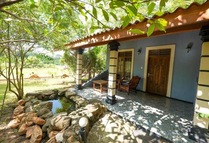 Standard Room Mountain View, Sigiri Close Up View Guest