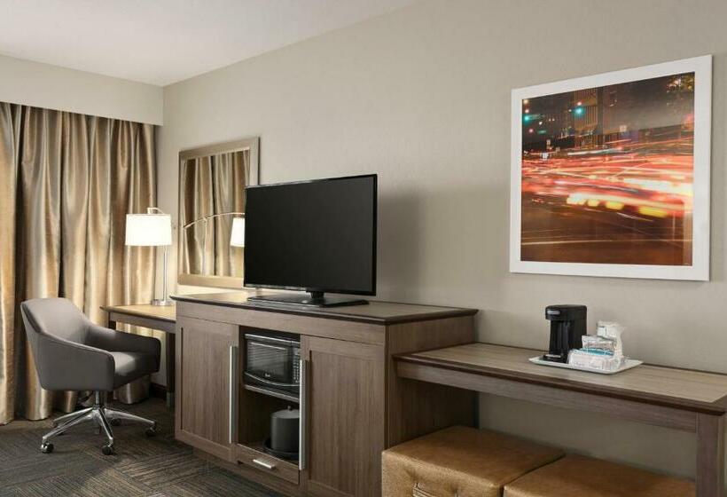 스탠다드 룸 킹사이즈 침대, Hampton Inn & Suites Minooka