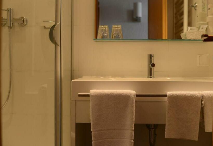 Трехместный Номер Базовый, Gasthof & Hotel Goldene Krone