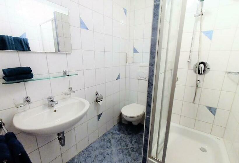 آپارتمان 1 خوابه, Bodensee Gästehaus Tettnang Albergo