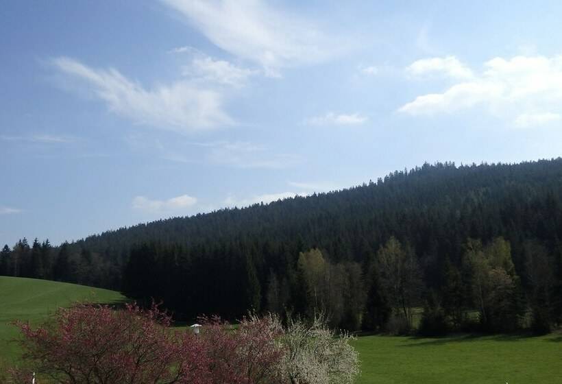 Номер Комфорт, Landhotel Grünwies  Bonsai Wellness Garni