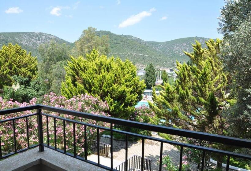 스탠다드 룸, Pi̇gale Beach Resort
