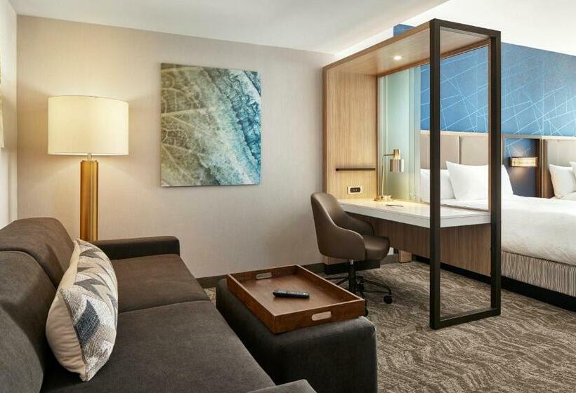 Люкс Кровать Квин, Springhill Suites By Marriott Frederica
