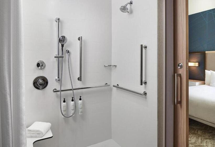Люкс Кровать Квин, Springhill Suites By Marriott Frederica