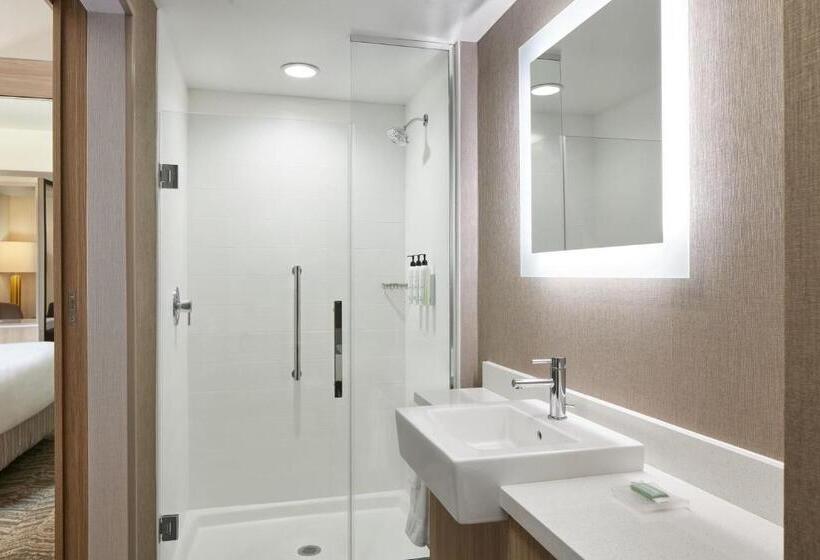 Люкс Кровать Кинг, Springhill Suites By Marriott Frederica