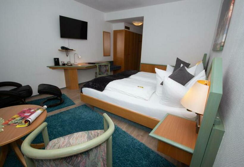 غرفة سوبيريور, Paulin Hotel Trier