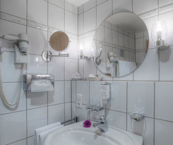 غرفة سوبيريور فردية, Paulin Hotel Trier