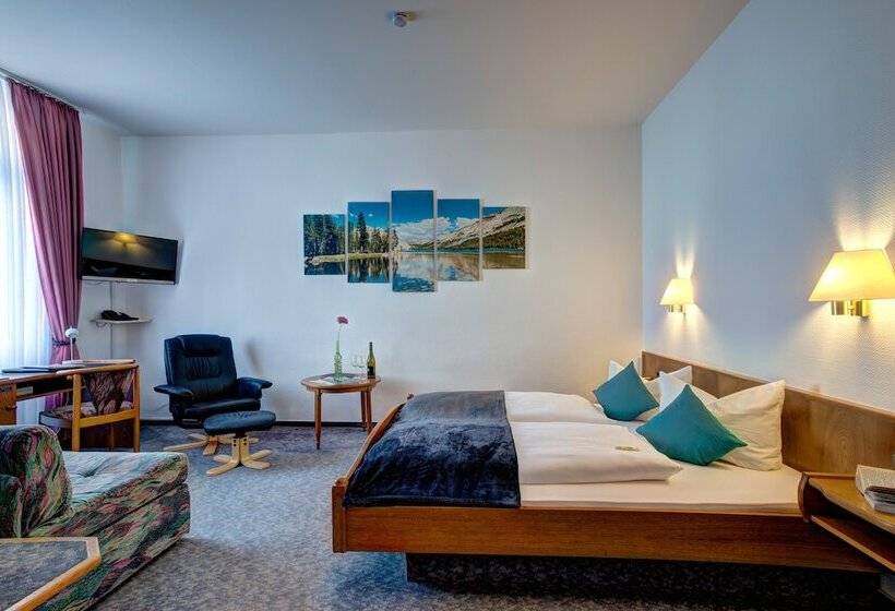 غرفة قياسية فردية, Paulin Hotel Trier