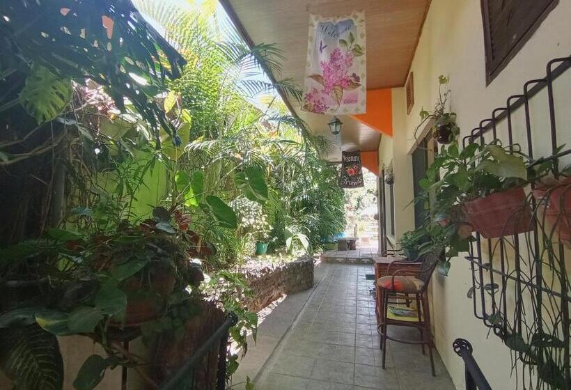 스탠다드 스튜디오 킹침대, Nirvana Apartament Hostal