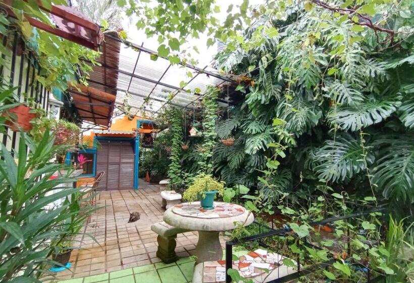 스탠다드 스튜디오, Nirvana Apartament Hostal