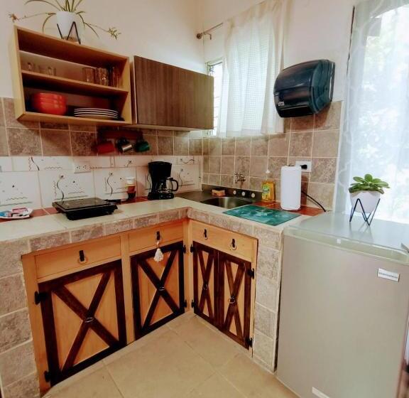 스탠다드 스튜디오, Nirvana Apartament Hostal