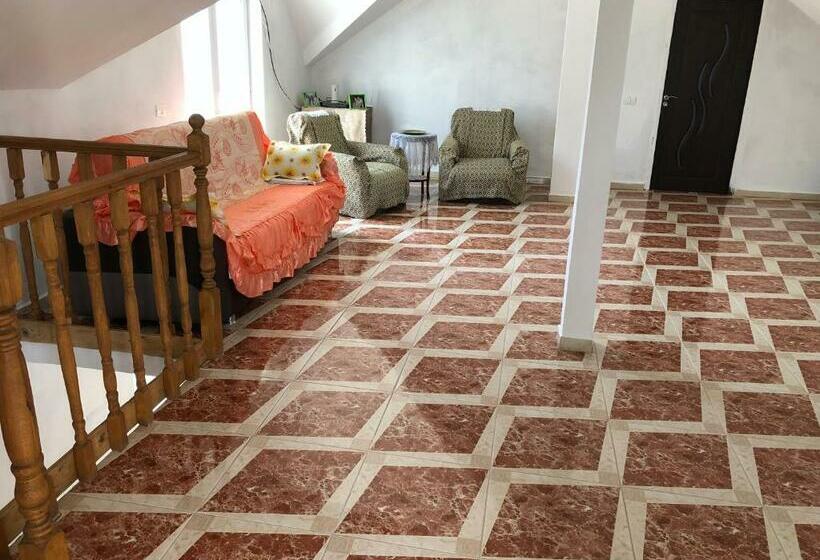 Дом 4 Спальни, Vila Siminica
