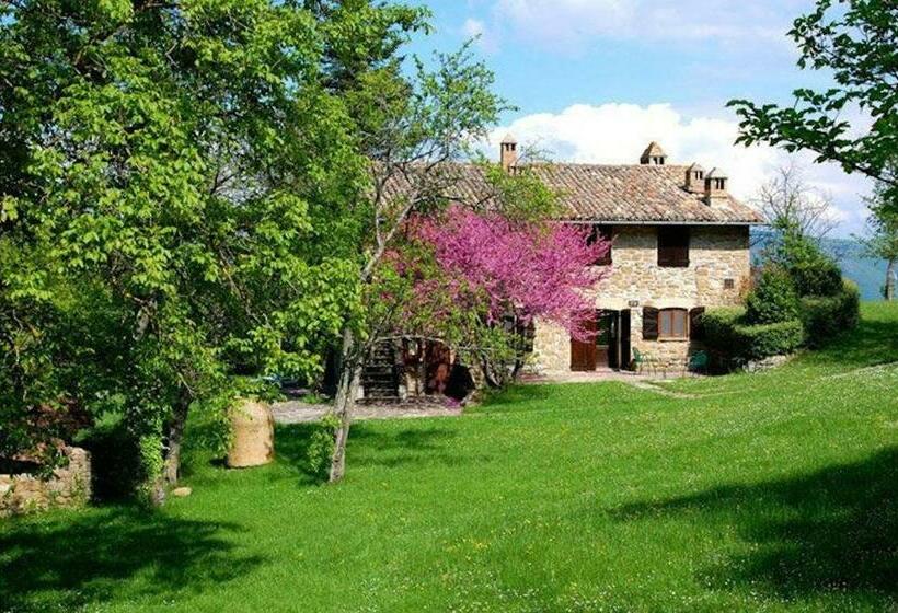 Апартаменты Superior 1 Спальня, Agriturismo Tenuta Le Silve
