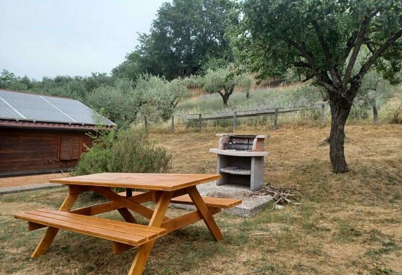 Бунгало Стандарт, Agriturismo Cisogna