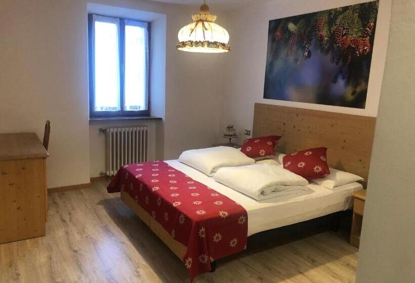 Номер Стандарт, Bertoldi
