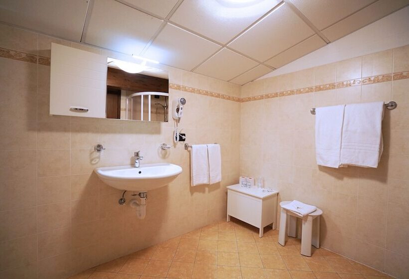 스탠다드 룸, Gh Hotel Fratazza