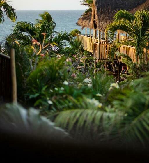 Deluxe Bungalow, Hurricane Jeri