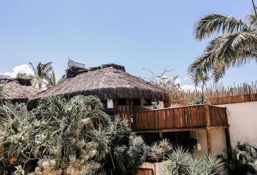 Deluxe Bungalow, Hurricane Jeri