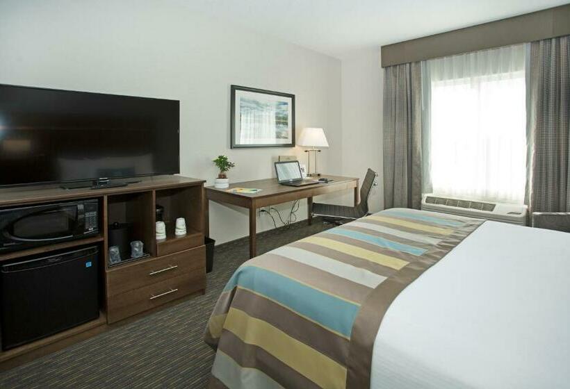 キングサイズベッドのデラックスルーム, Wingate By Wyndham Calgary Airport