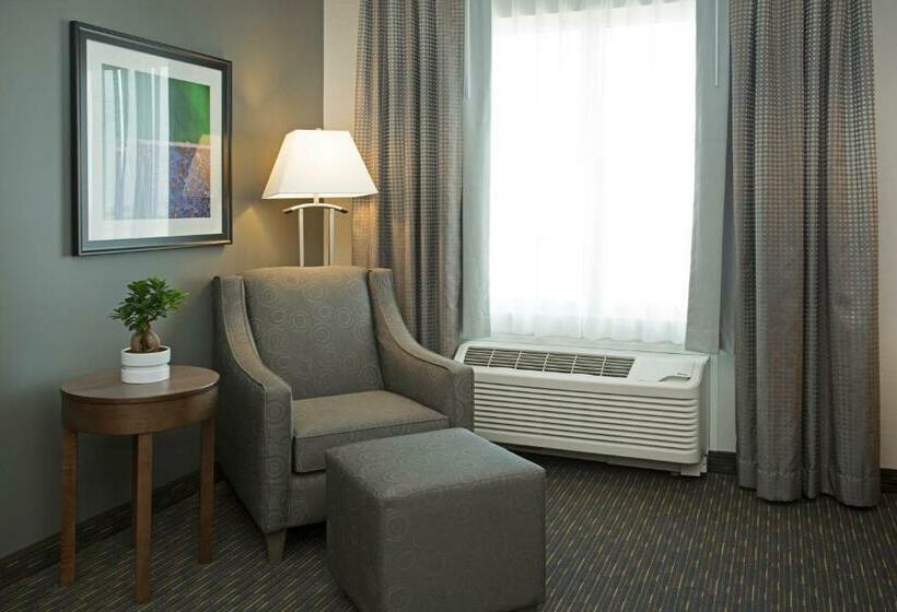 キングサイズベッドのデラックスルーム, Wingate By Wyndham Calgary Airport