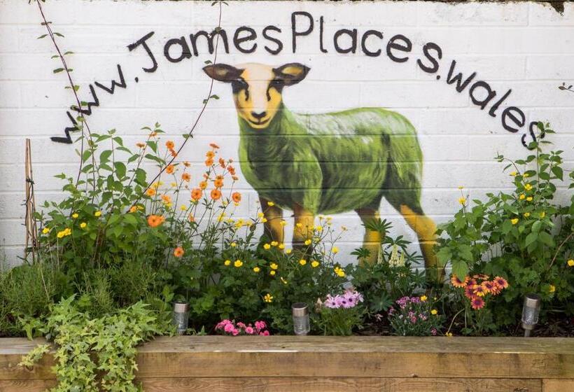 Номер Стандарт, James  Place At Brynawel